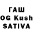 Галлюциногенные грибы Psilocybine cubensis tluis512