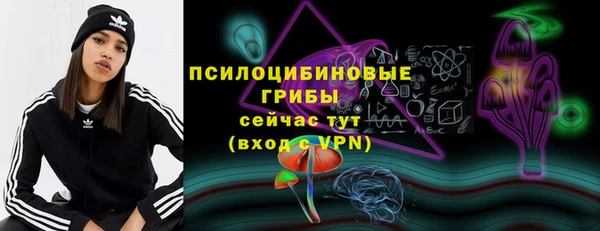 прущая мука Верея