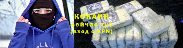 прущая мука Верея