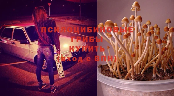 соль ск Верхнеуральск
