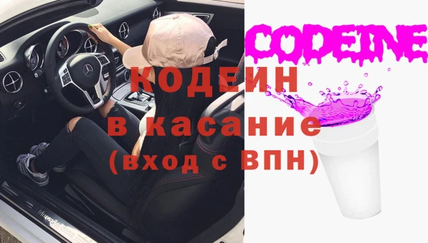 ECSTASY Бородино