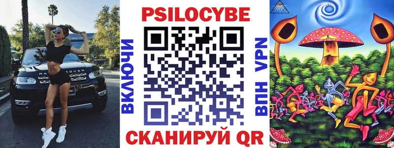 Купить где  Нариманов  Псилоцибиновые грибы GOLDEN TEACHER 